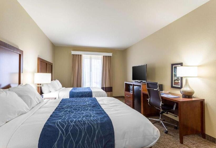 스탠다드 룸, Comfort Inn & Suites Airport