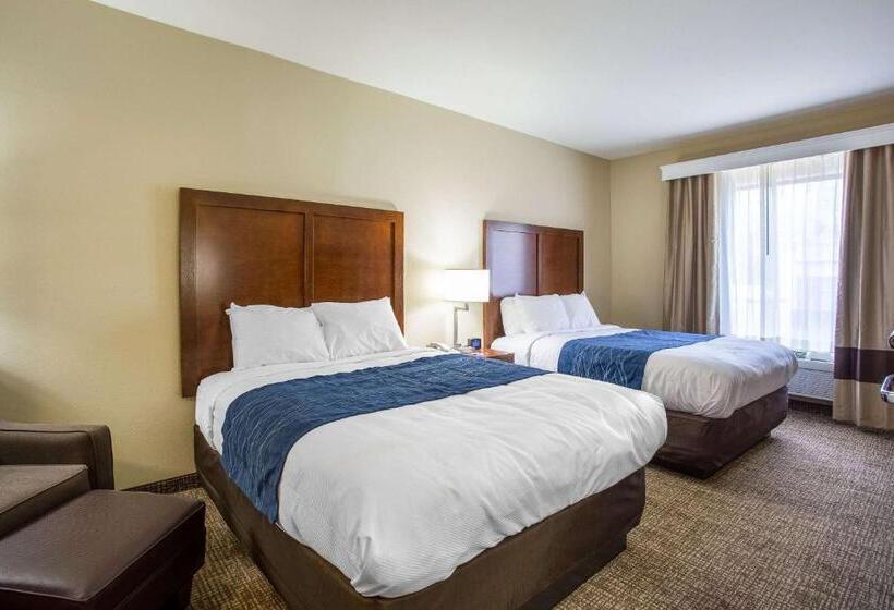 스탠다드 룸, Comfort Inn & Suites Airport