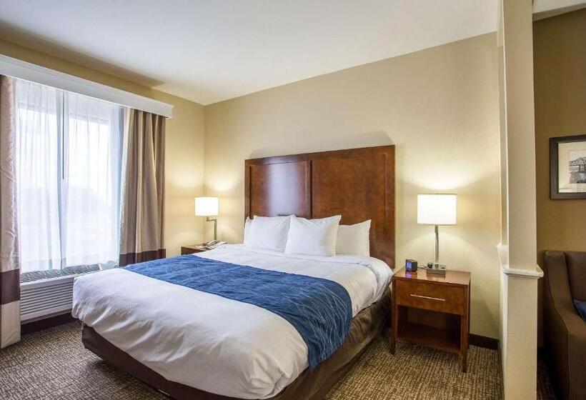 스위트 킹사이즈 침대, Comfort Inn & Suites Airport