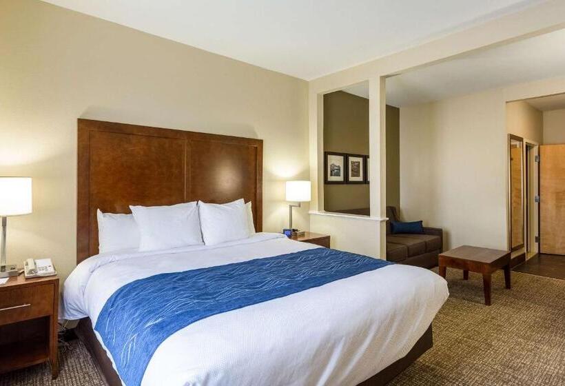 스위트 킹사이즈 침대, Comfort Inn & Suites Airport