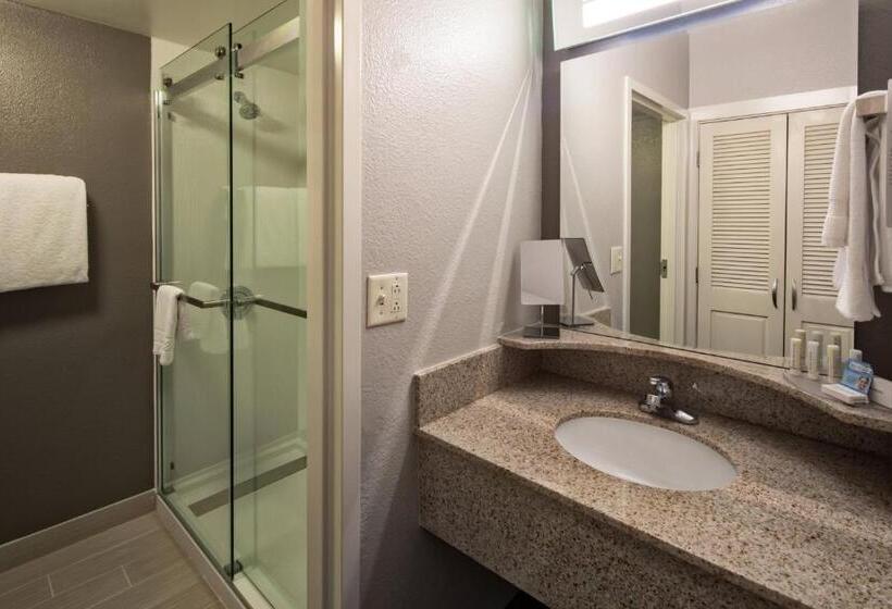 Standard Szoba, Courtyard By Marriott Rock Hill