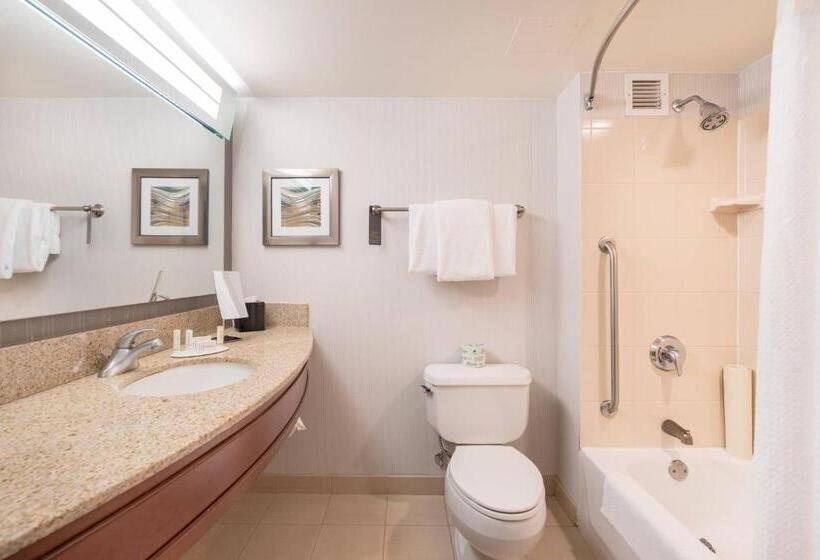 스탠다드 룸, Courtyard By Marriott Silver Spring Downtown