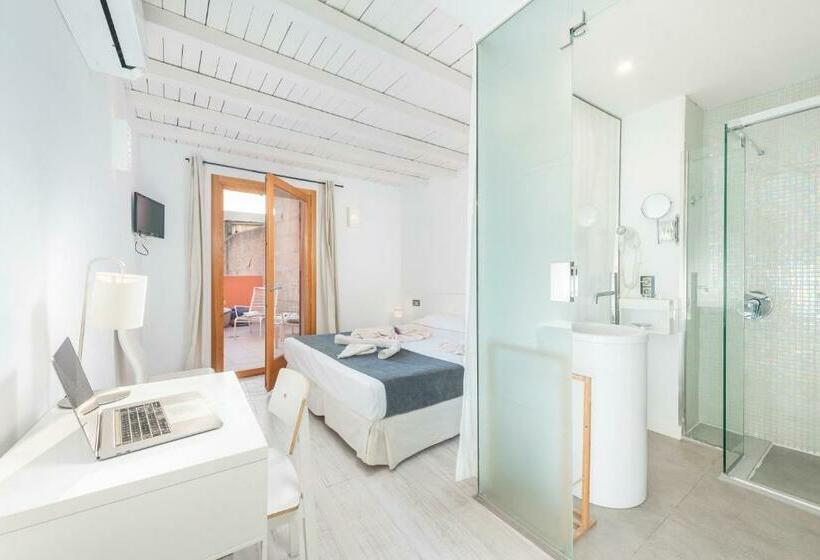 수피리어 싱글 룸, Alcudia Petit  Turismo De Interior