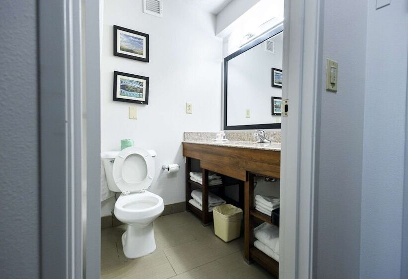 Люкс, Comfort Suites