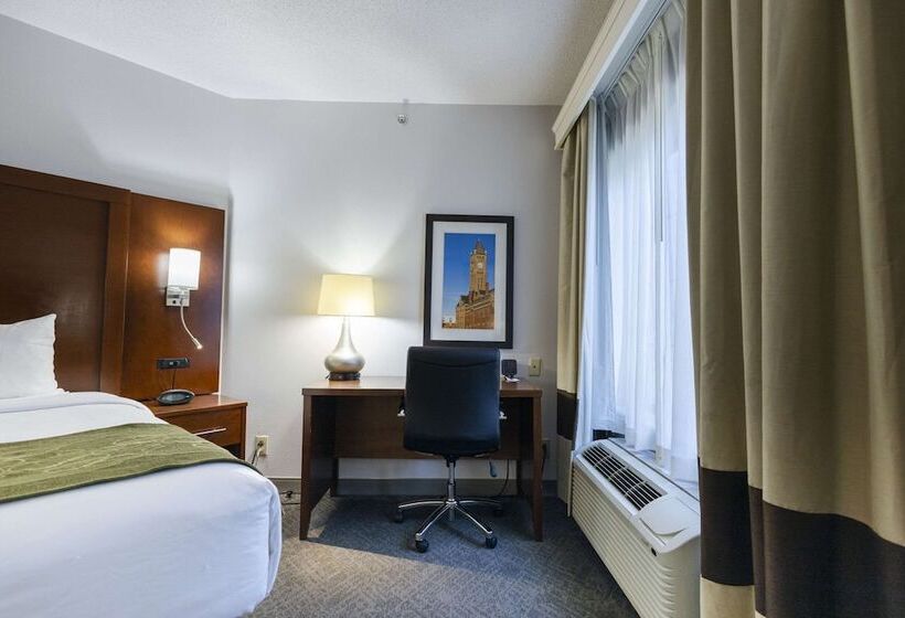 Люкс, Comfort Suites