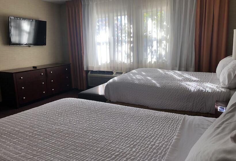 Quarto standard, Ivy Court Inn And Suites
