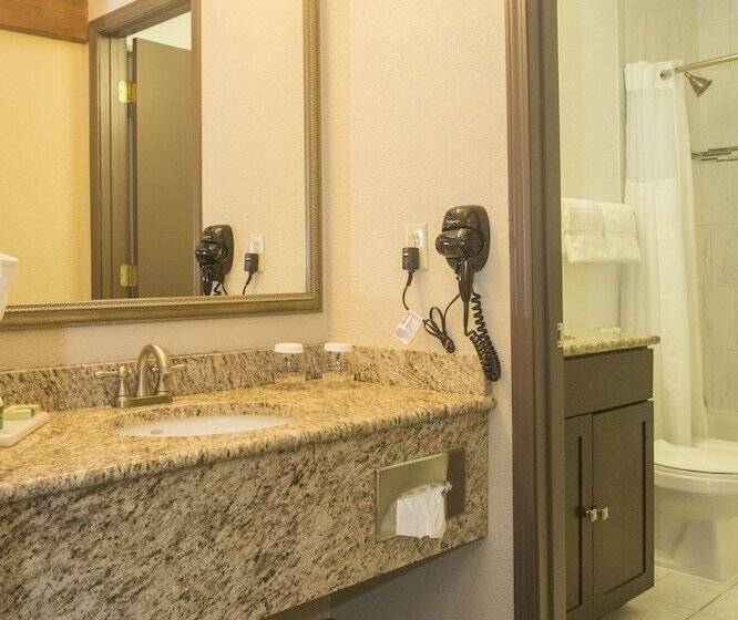 Suite, Ivy Court Inn And Suites