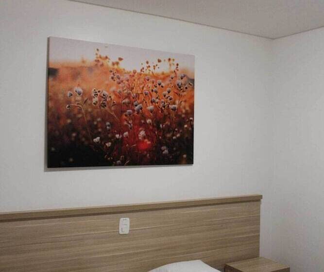 스탠다드 룸, San Lucas