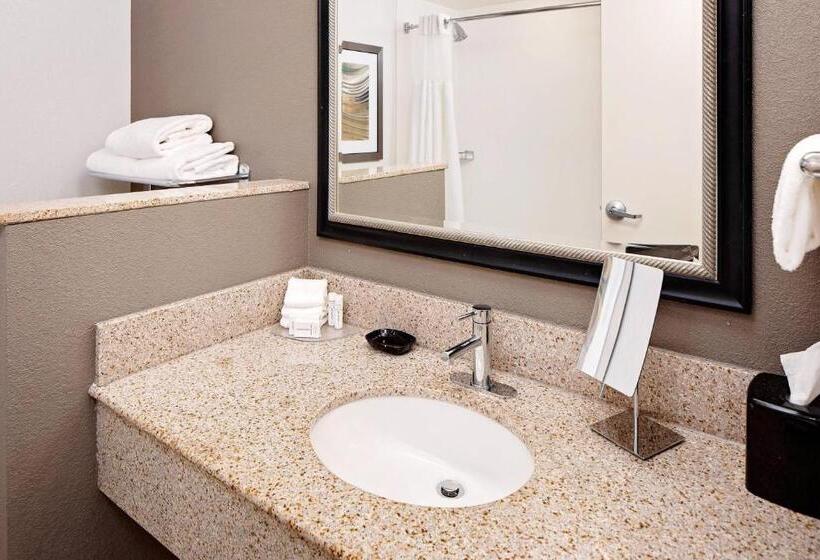 스탠다드 룸, Courtyard By Marriott Pittsburgh West Homestead Waterfront
