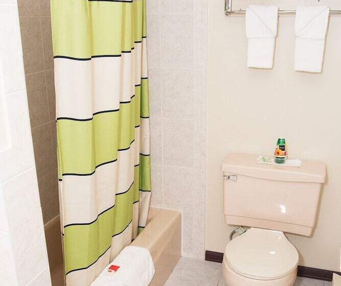 带2个双人床的标准工作室, Red Carpet Inn And Suites Plymouth