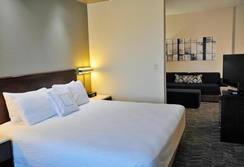 Студио Стандарт Кровать Кинг, Springhill Suites Houston Katy Mills