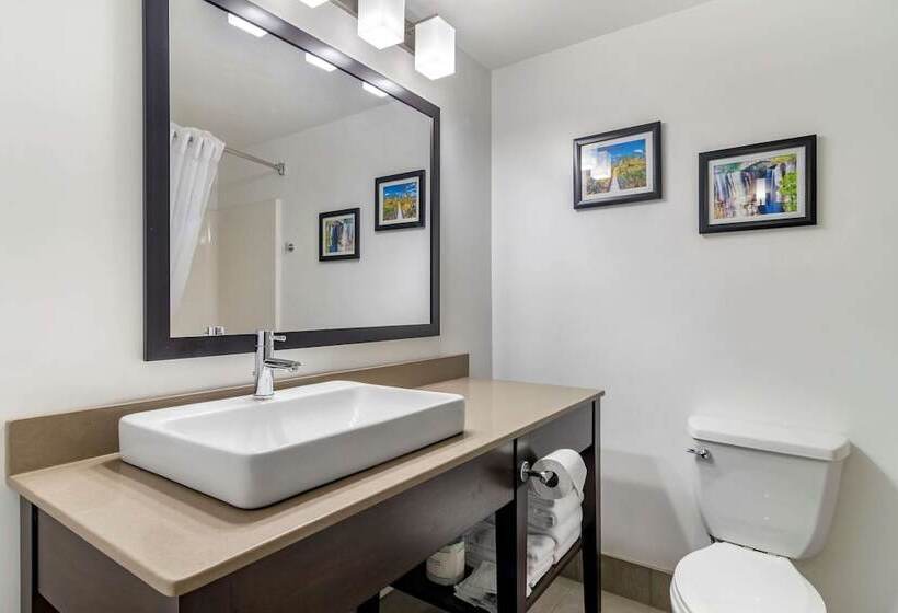スイート, Comfort Inn & Suites Calhoun South