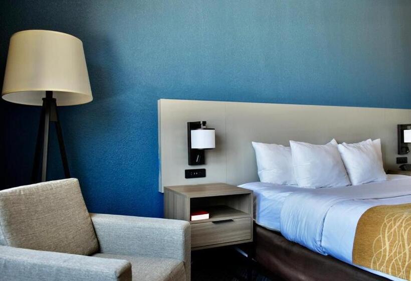 带大床的标准间, Comfort Inn & Suites Calhoun South