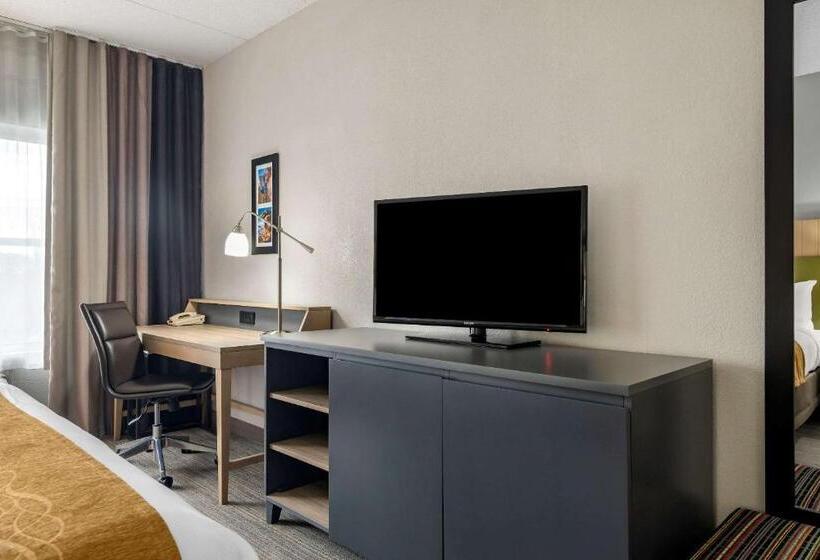 带大床的标准间, Comfort Inn & Suites Calhoun South