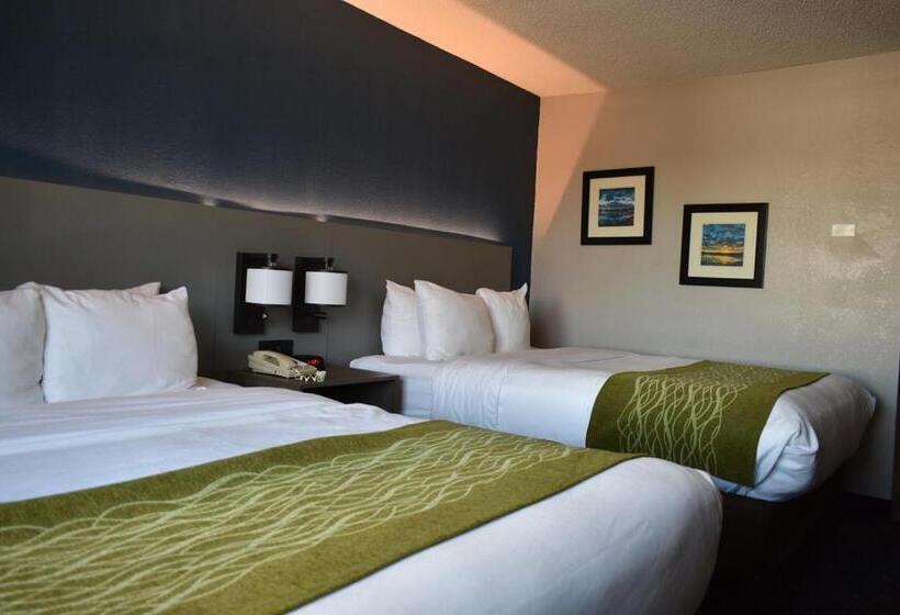 スタンダードルーム, Comfort Inn & Suites Calhoun South