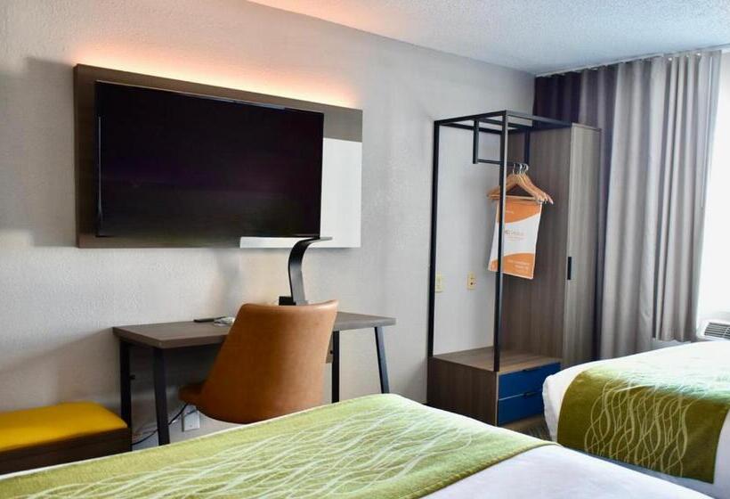 标准间, Comfort Inn & Suites Calhoun South