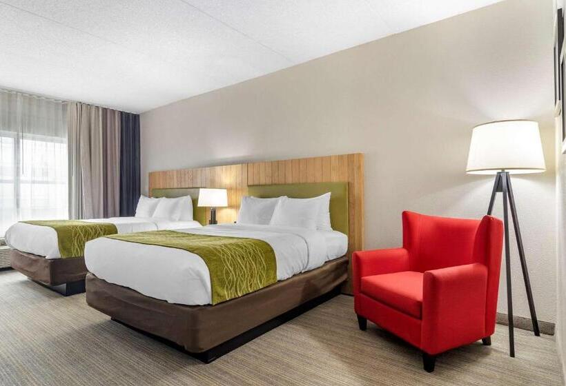 标准间, Comfort Inn & Suites Calhoun South