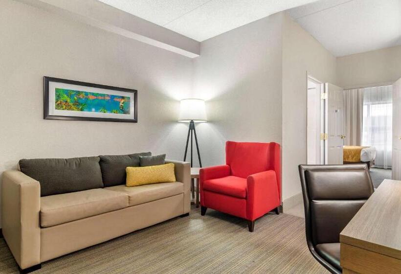 キングサイズベッドのスイートルーム, Comfort Inn & Suites Calhoun South
