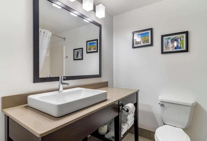 带大床的套房, Comfort Inn & Suites Calhoun South