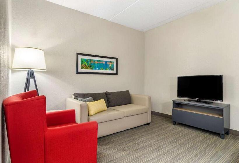 キングサイズベッドのスイートルーム, Comfort Inn & Suites Calhoun South