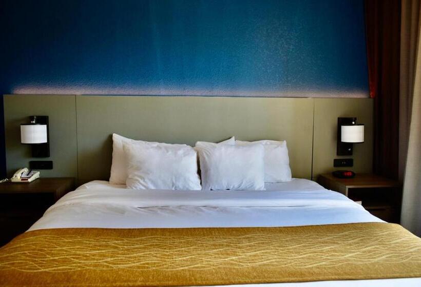 身障者適用キングサイズベッドルーム, Comfort Inn & Suites Calhoun South