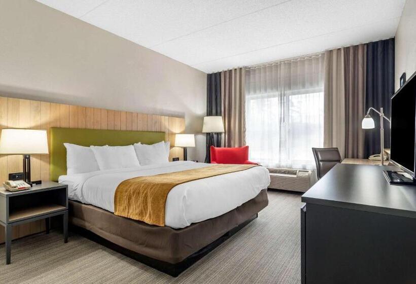 适合残疾人士使用的带超级大床的标准间, Comfort Inn & Suites Calhoun South