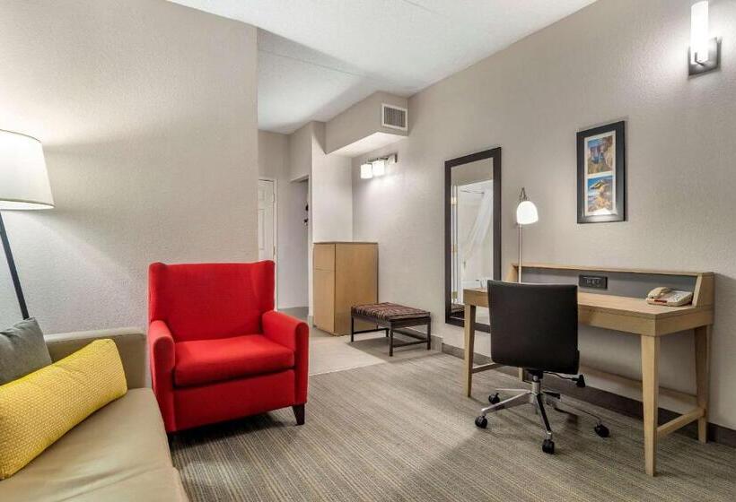 身障者適用スイートルーム, Comfort Inn & Suites Calhoun South
