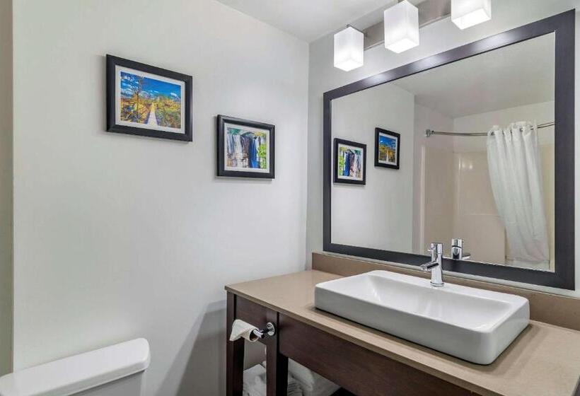 套房, Comfort Inn & Suites Calhoun South