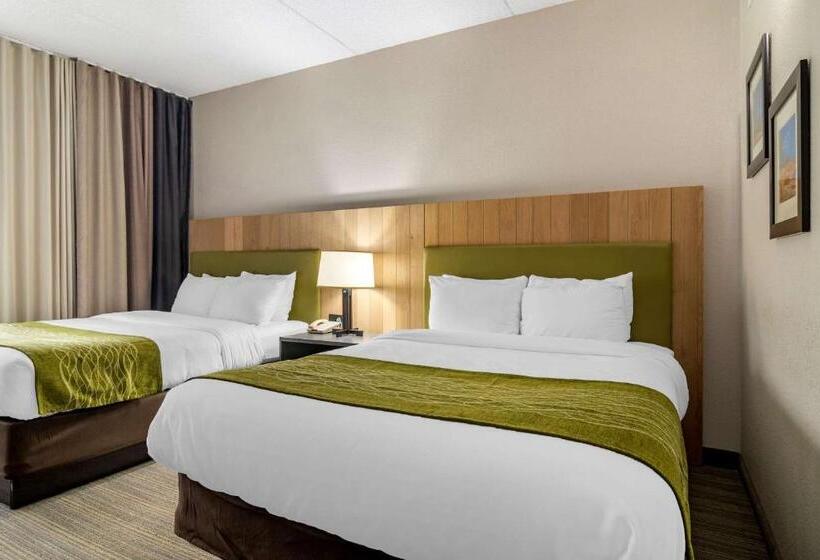 スイート, Comfort Inn & Suites Calhoun South