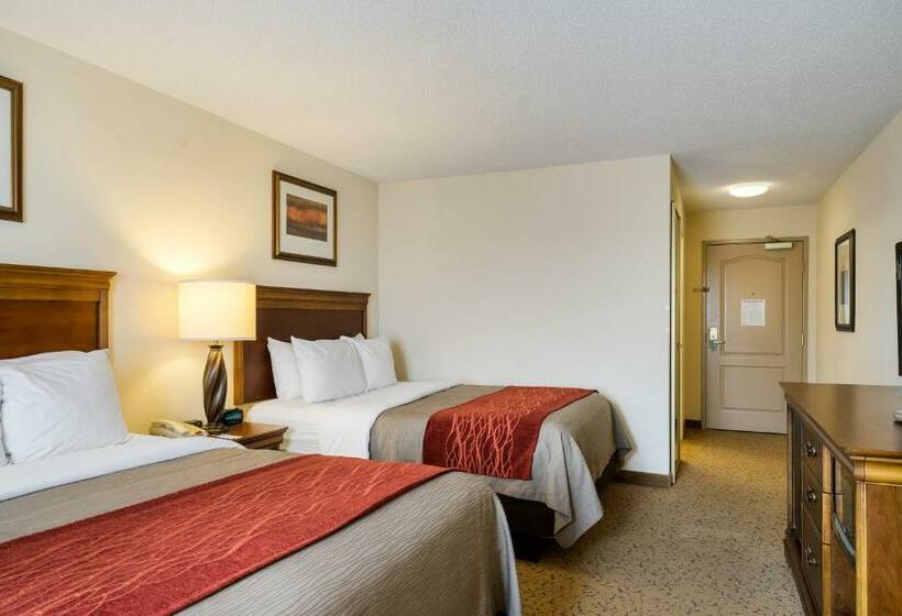 اتاق استاندارد, Comfort Inn & Suites