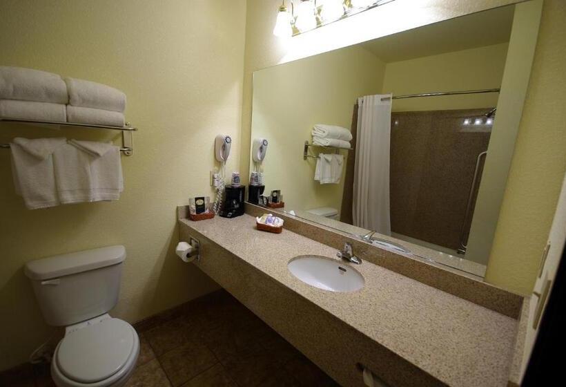 اتاق سوپریور, Mountain Inn & Suites Airport   Hendersonville