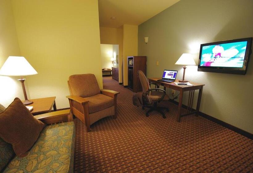 سوئیت با تخت بزرگ, Mountain Inn & Suites Airport   Hendersonville