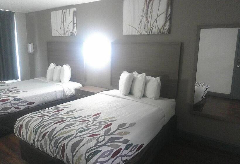 Номер Superior, Red Roof Inn Richmond   Airport Sandston