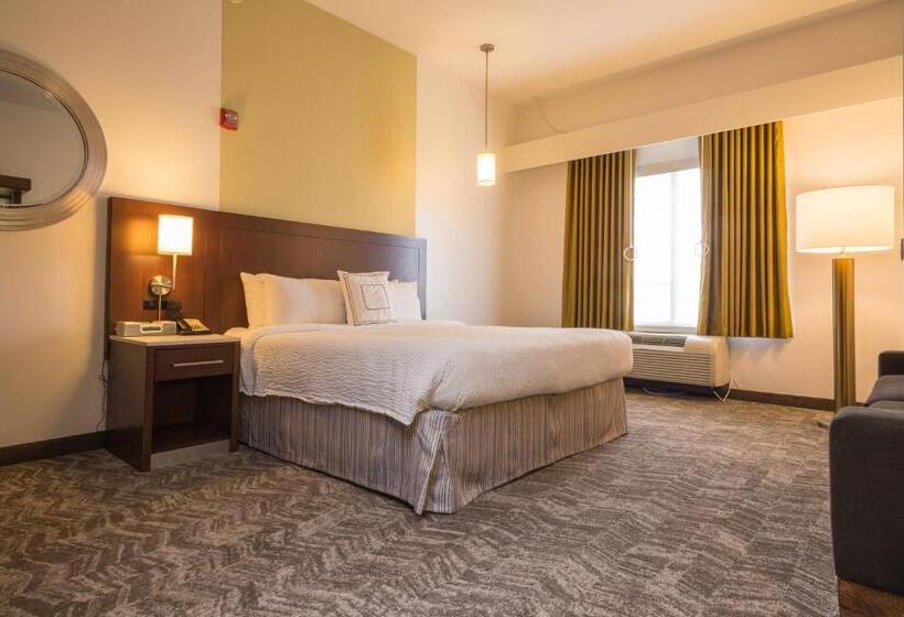 带大床的标准工作室, Springhill Suites Quakertown Pennsylvania
