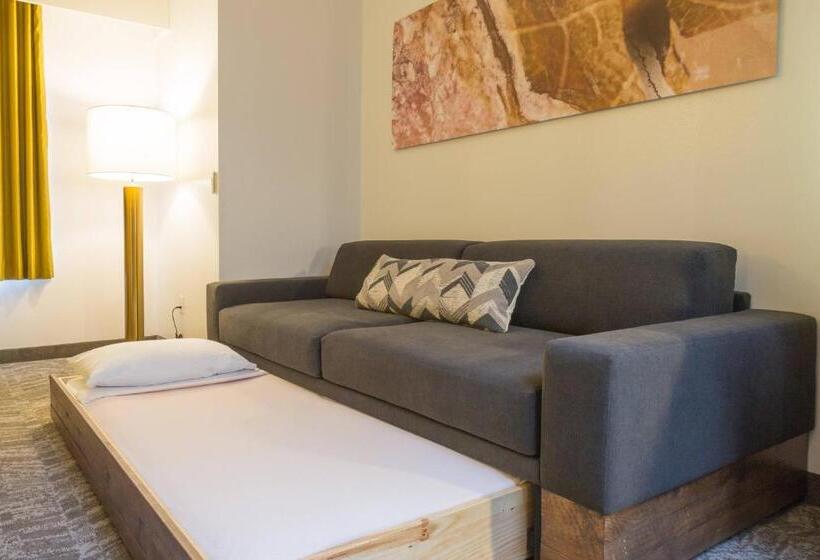 标准工作室, Springhill Suites Quakertown Pennsylvania