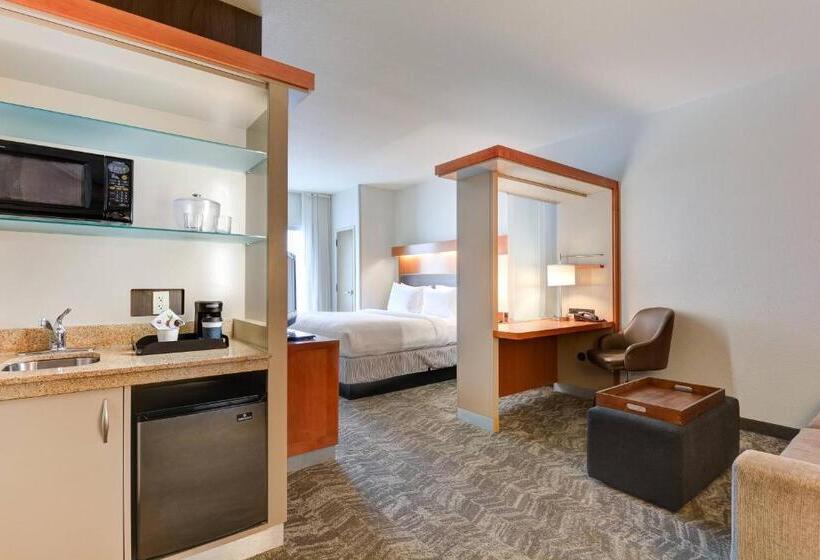 Студио Стандарт Кровать Кинг, Springhill Suites Shreveportbossier City/louisiana Downs