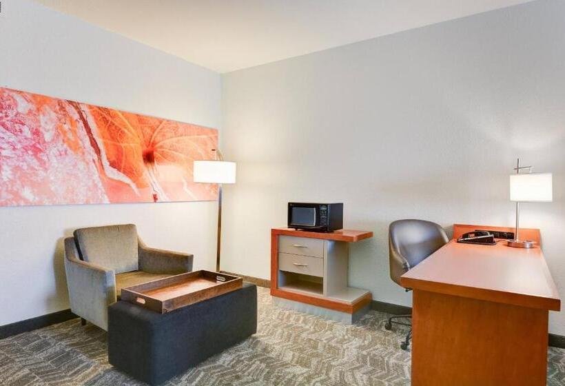 Студия Стандарт, Springhill Suites Shreveportbossier City/louisiana Downs