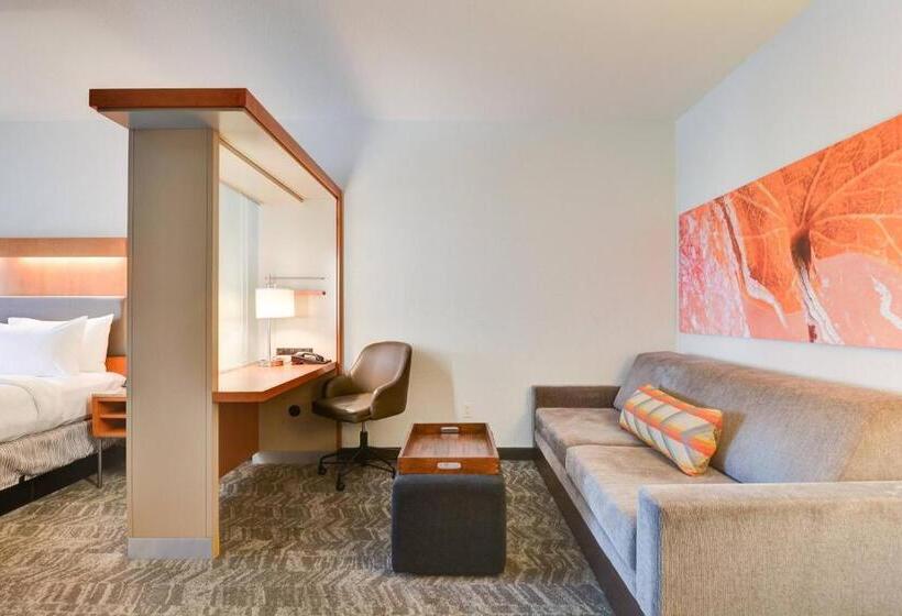Студио Стандарт Кровать Кинг, Springhill Suites Shreveportbossier City/louisiana Downs
