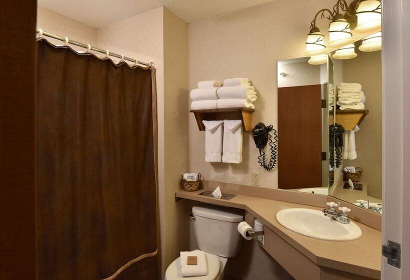اتاق لوکس, Stoney Creek Hotel Moline