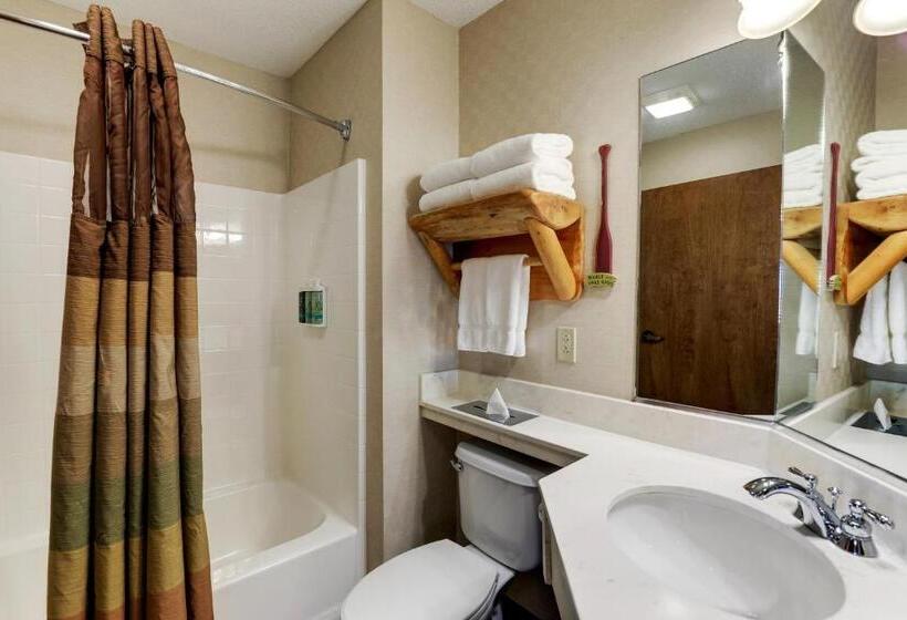 اتاق لوکس با تخت بزرگ, Stoney Creek Hotel Moline
