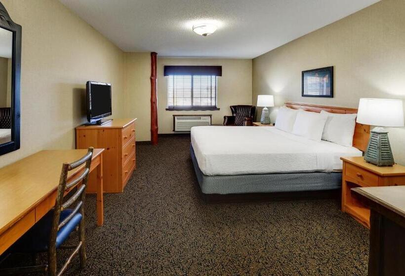 اتاق لوکس با تخت بزرگ, Stoney Creek Hotel Moline