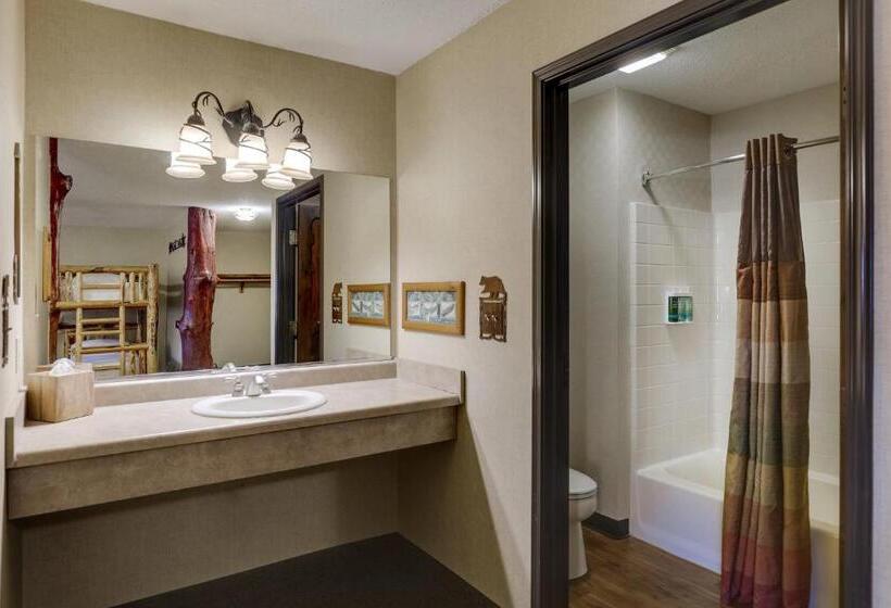 سوییت خانوادگی, Stoney Creek Hotel Moline