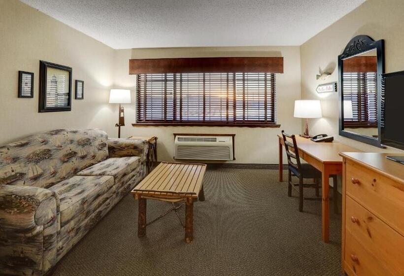 اتاق سوپریور با تخت بزرگ, Stoney Creek Hotel Moline