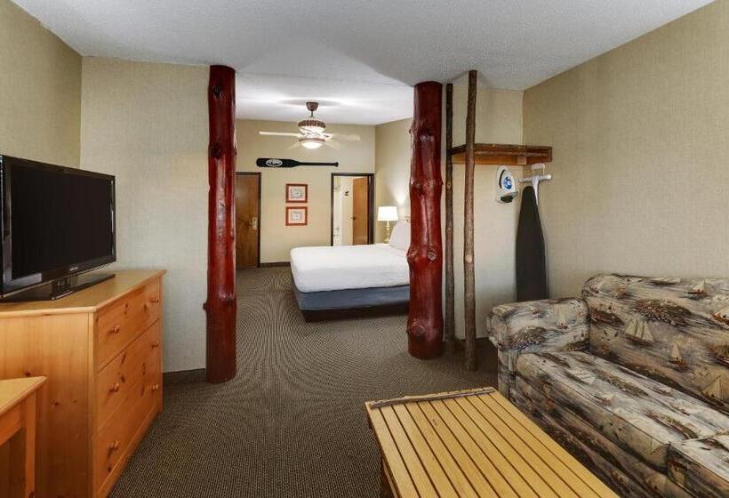 اتاق سوپریور با تخت بزرگ, Stoney Creek Hotel Moline