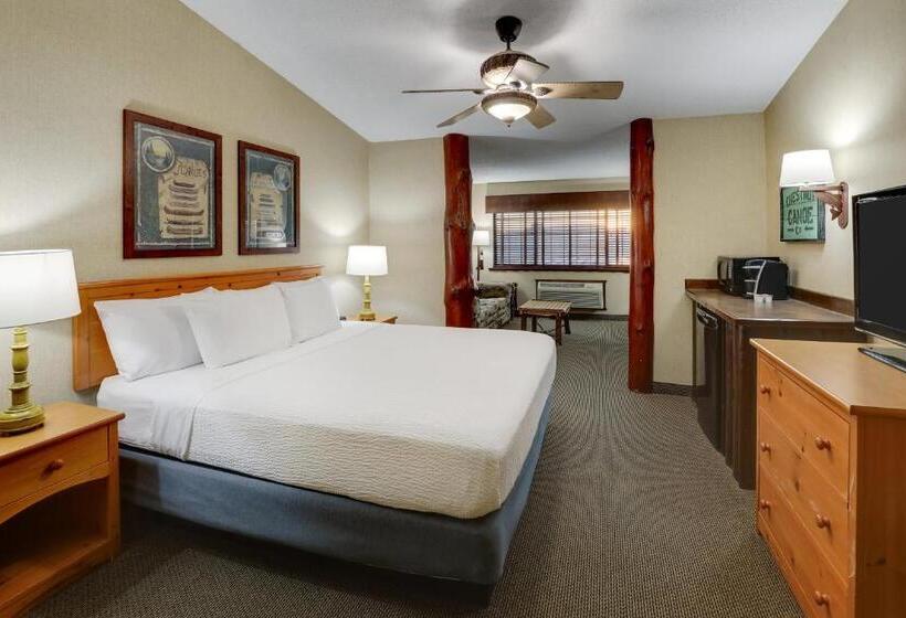 اتاق سوپریور با تخت بزرگ, Stoney Creek Hotel Moline