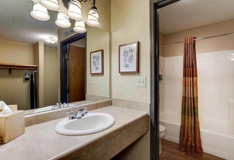 اتاق سوپریور, Stoney Creek Hotel Moline