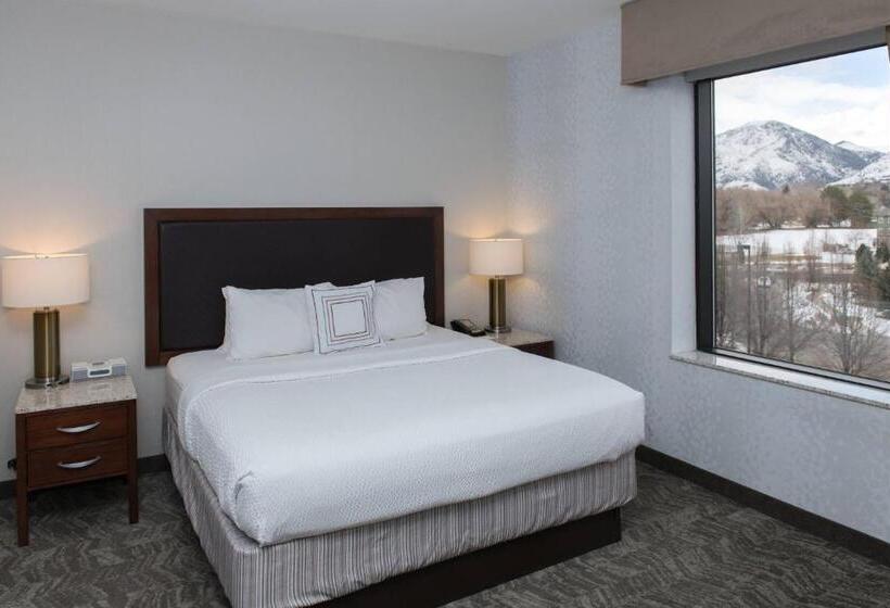 סטודיו סטנדרט, מיטה זוגית, Springhill Suites By Marriott Logan