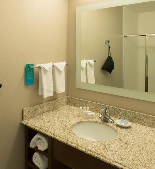 Люкс Адаптированный для Инвалидов, Springhill Suites By Marriott Logan