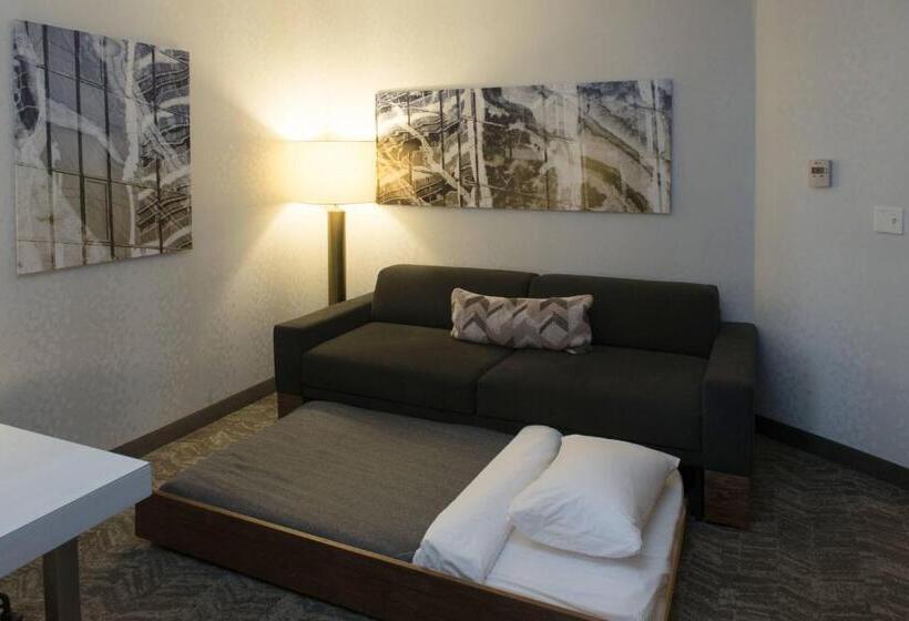 Люкс Адаптированный для Инвалидов, Springhill Suites By Marriott Logan