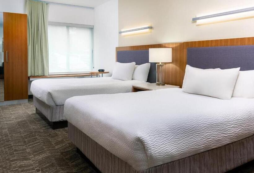 标准工作室, Springhill Suites Tallahassee Central